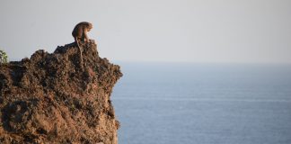 Exchange’s Bitcoin Balance Simply “Dropped Off a Cliff” as Bullish Undercurrent Grows Exchange’s Bitcoin Balance Simply “Dropped Off a Cliff” as Bullish Undercurrent Grows