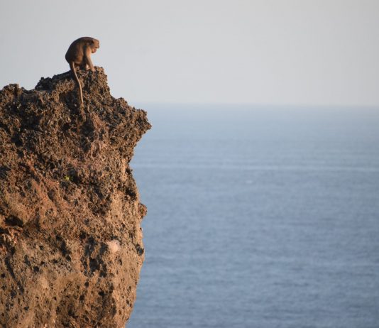 Exchange’s Bitcoin Balance Simply “Dropped Off a Cliff” as Bullish Undercurrent Grows Exchange’s Bitcoin Balance Simply “Dropped Off a Cliff” as Bullish Undercurrent Grows