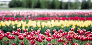 Ethereum Might Quickly Rupture Previous $400: This Eerie Fractal Reveals Why