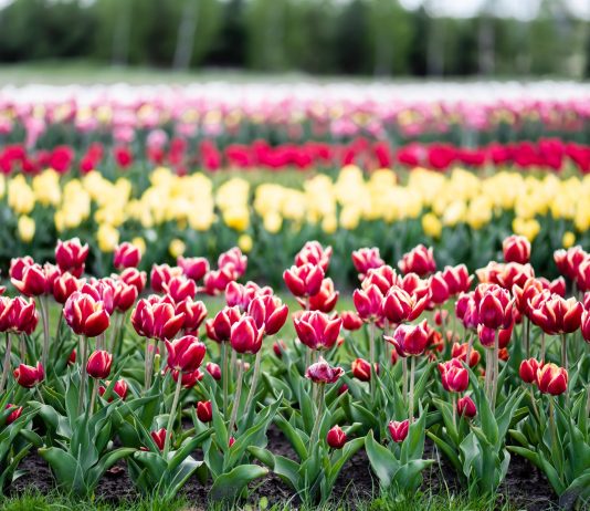 Ethereum Might Quickly Rupture Previous $400: This Eerie Fractal Reveals Why Ethereum Might Quickly Rupture Previous $400: This Eerie Fractal Reveals Why