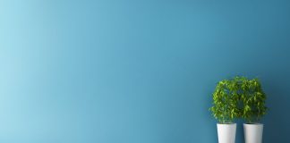 Substance (COMPENSATION) Rises 15% as Ethereum’s DeFi Area Continues to Swell