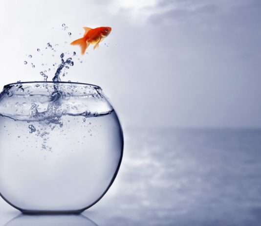 Binance-backed SXP Leaps 25% on New Products Introduce; More Gains Ahead?
