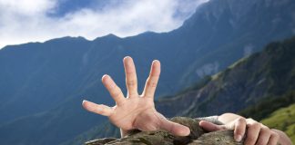 Watch out Below: How Far Can The Chainlink (LINK) Crash Go?