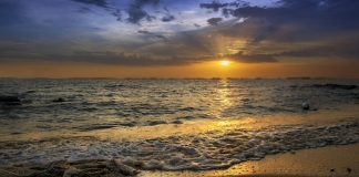 Pseudonymous Crypto Trader Trashes Significant Altcoins: “Tides Have Turned” To DeFi