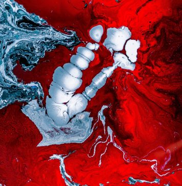 Here’s the Vital Level That May Glow Bitcoin’s Next Bloodbath Decrease