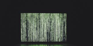 Botnet Dispersed Rejection of Service Attacks are Mining for Your Bitcoin