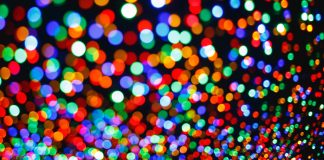 Margin Traders Go Brief on Polkadot as Its Huge Climb Continues