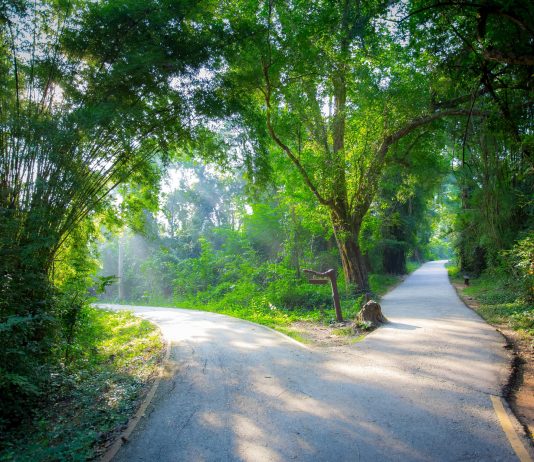 Synthetix Creator: There’s an Opportunity Bitcoin “Hardly Relocations” in this Booming Market