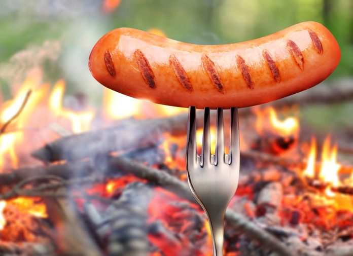 Pizza & & Hotdog: How Uniswap’s Earnings Buffet Can Burn Crypto Financiers