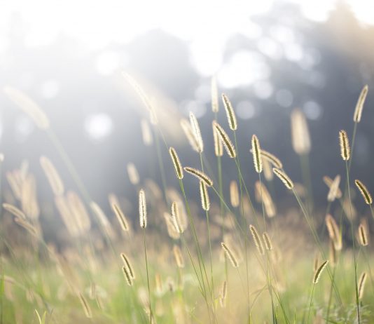 This Chainlink (LINK) Fractal Forecasts the 50% Correction Is Over This Chainlink (LINK) Fractal Forecasts the 50% Correction Is Over