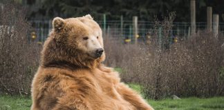 Expert: Ethereum’s Market Structure “Strongly Bearish” as It Stays Below Secret Level