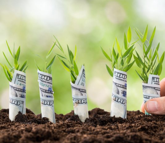 Why Ethereum DeFi’s Yearn.finance (YFI) Simply Rose to New All-Time High