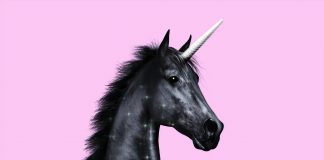 Uniswap’s UNI Sees Financing Flip Unfavorable When Once Again as Bulls Holler