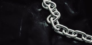 Chainlink Reaches an “Build-up Zone” as Possible Long-Term Bottom Kinds