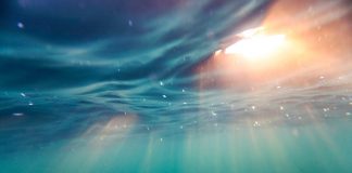 Cardano (ADA) Rises 15% Greater: Here’s What Experts Believe Follows