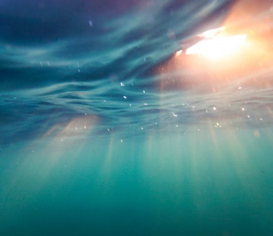 Cardano (ADA) Rises 15% Greater: Here’s What Experts Believe Follows