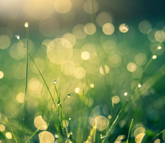 Bitcoin’s “Problem Ribbons” Simply Got In the Buy Zone for the Very First Time Considering That March Bitcoin’s “Problem Ribbons” Simply Got In the Buy Zone for the Very First Time Considering That March