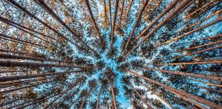 DeFi Requirements Diversity for Sustainable Development DeFi Requirements Diversity for Sustainable Development