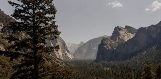 Expert Who Forecasted Yearn.finance (YFI) Drop to $14 k Believes $12 k Is Next