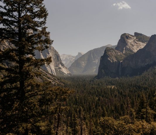 Expert Who Forecasted Yearn.finance (YFI) Drop to $14 k Believes $12 k Is Next