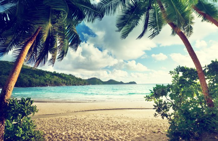 3 Bitcoin On-Chain Trends Program a Macro Booming Market Is Developing