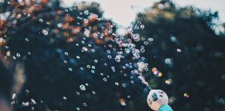 Chainlink (LINK) Kinds Bearish Divergences as It Prepares to Plunge