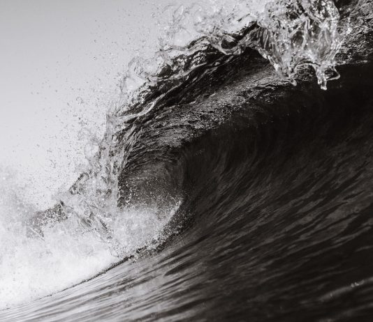 Tyler Winklevoss: A “Tsunami” of Capital Is Coming For Bitcoin