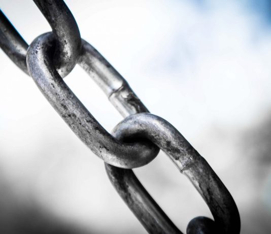 Here’s How High Chainlink Might Rally if Bulls Defend Secret Assistance