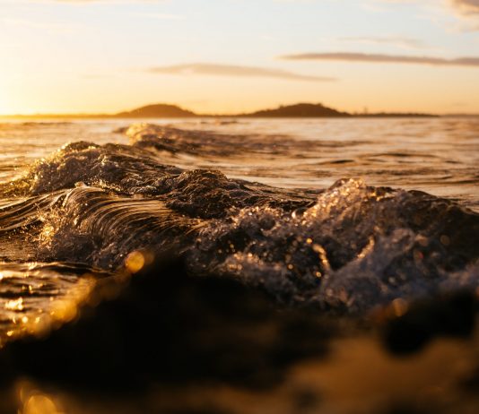 “Take A Look At Thorchain (RUNE),” ShapeShift CEO Erik Voorhees States