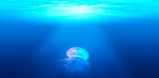 Leading DeFi Coins Crater 5-10% In Spite Of $400 Bitcoin Cost Dive Leading DeFi Coins Crater 5-10% In Spite Of $400 Bitcoin Cost Dive