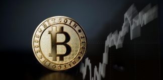 Bitcoin cost strikes record high for 2020 after PayPal lastly includes cryptocurrency