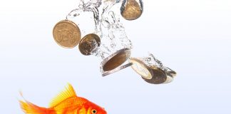 Crypto Expert: Altcoins To “Tank” While Bitcoin Runs For All-Time High