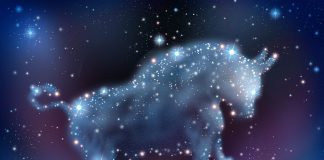 Bitcoin RSI Relocations Into Booming Market Area, Here’s What Happens Next