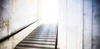 New Cardano Roadmap Puts March 2021 Date For Goguen Mainet Rollout