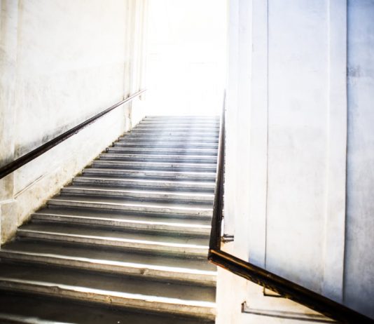 New Cardano Roadmap Puts March 2021 Date For Goguen Mainet Rollout