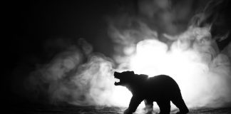 Here are 4 Reasons One Expert is Shorting Bitcoin’s Most current Rally