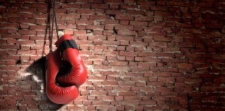 New Competitor Emerges In spite of Wikipedia’s Begrudging Listing of Cardano