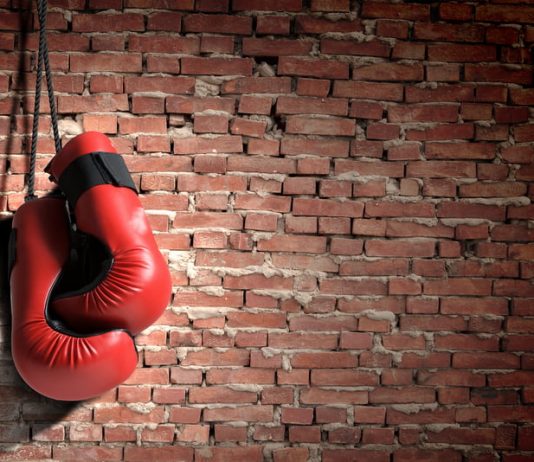 New Competitor Emerges In spite of Wikipedia’s Begrudging Listing of Cardano