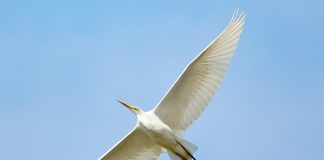 Yearn.finance (YFI) Posts Enormous Brief Capture; Triggers DeFi Pattern Turnaround