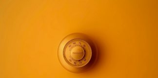 NYU Teacher Forecasts CBDCs Impend, Bitcoin Still Unviable