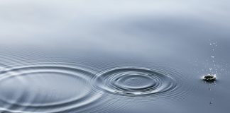Expert: XRP Likely to Take Off to $0.75 as Market-Wide Momentum Returns