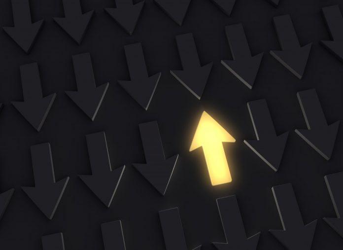 Self-Proclaimed Contrarian Financier Slams Bitcoin Digital Gold Story