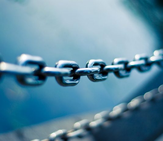 The Supply of Chainlink Owned by Whales is on the Decrease; Here’s Why