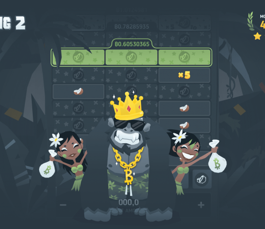 A Summary of BitKong, PlayHub’s Oldest Video gaming Website