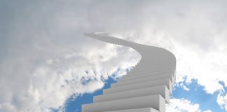 Cardano Procedure Hard Forks in Preparation For Goguen Upgrade