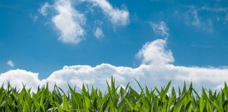 5 of the very best Yield Farming Opportunities For 2021 5 of the very best Yield Farming Opportunities For 2021