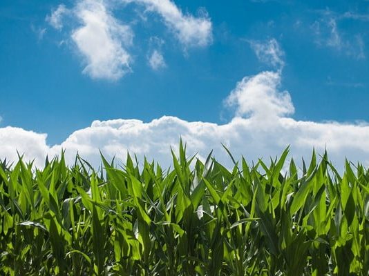 5 of the very best Yield Farming Opportunities For 2021