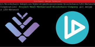 LTO Network and VIDT Combine to Produce Blockchain Powerhouse in the Netherlands LTO Network and VIDT Combine to Produce Blockchain Powerhouse in the Netherlands