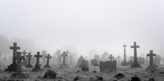 Ripple Claim Sets Off XRP Led Altcoin Armageddon