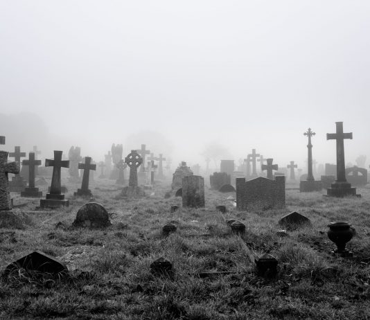 Ripple Claim Sets Off XRP Led Altcoin Armageddon